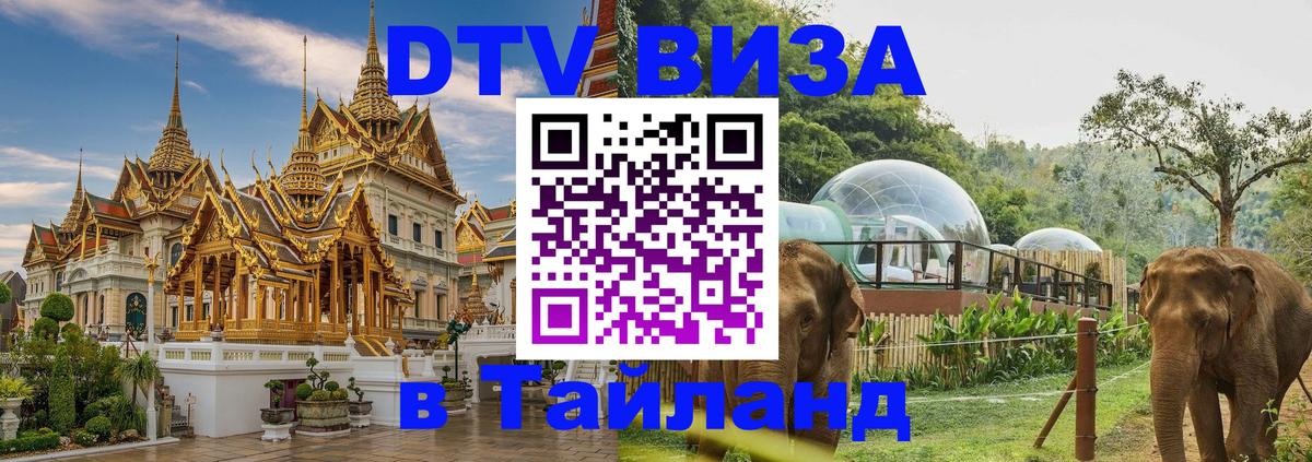 Купить DTV визу в Таиланд 